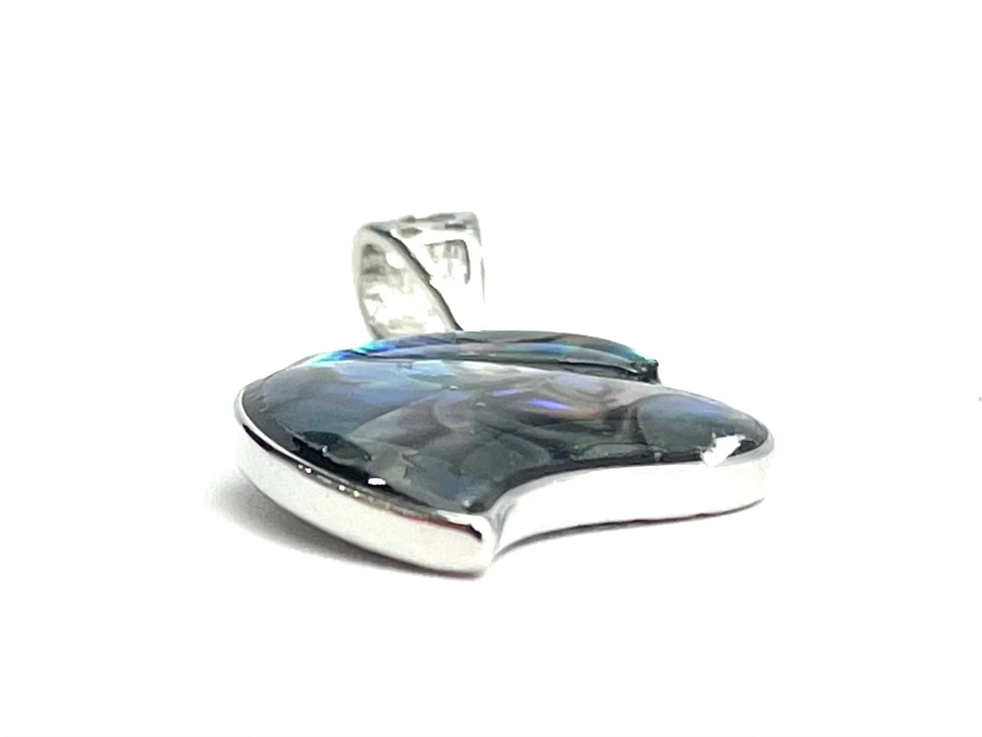 Abalone Seashell Pendant, Sku#M938