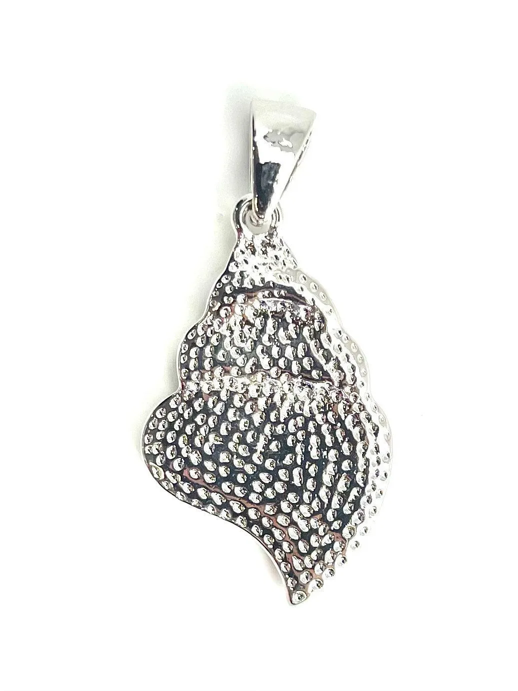 Abalone Seashell Pendant, Sku#M938