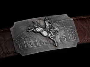 AR Saddle Bronc