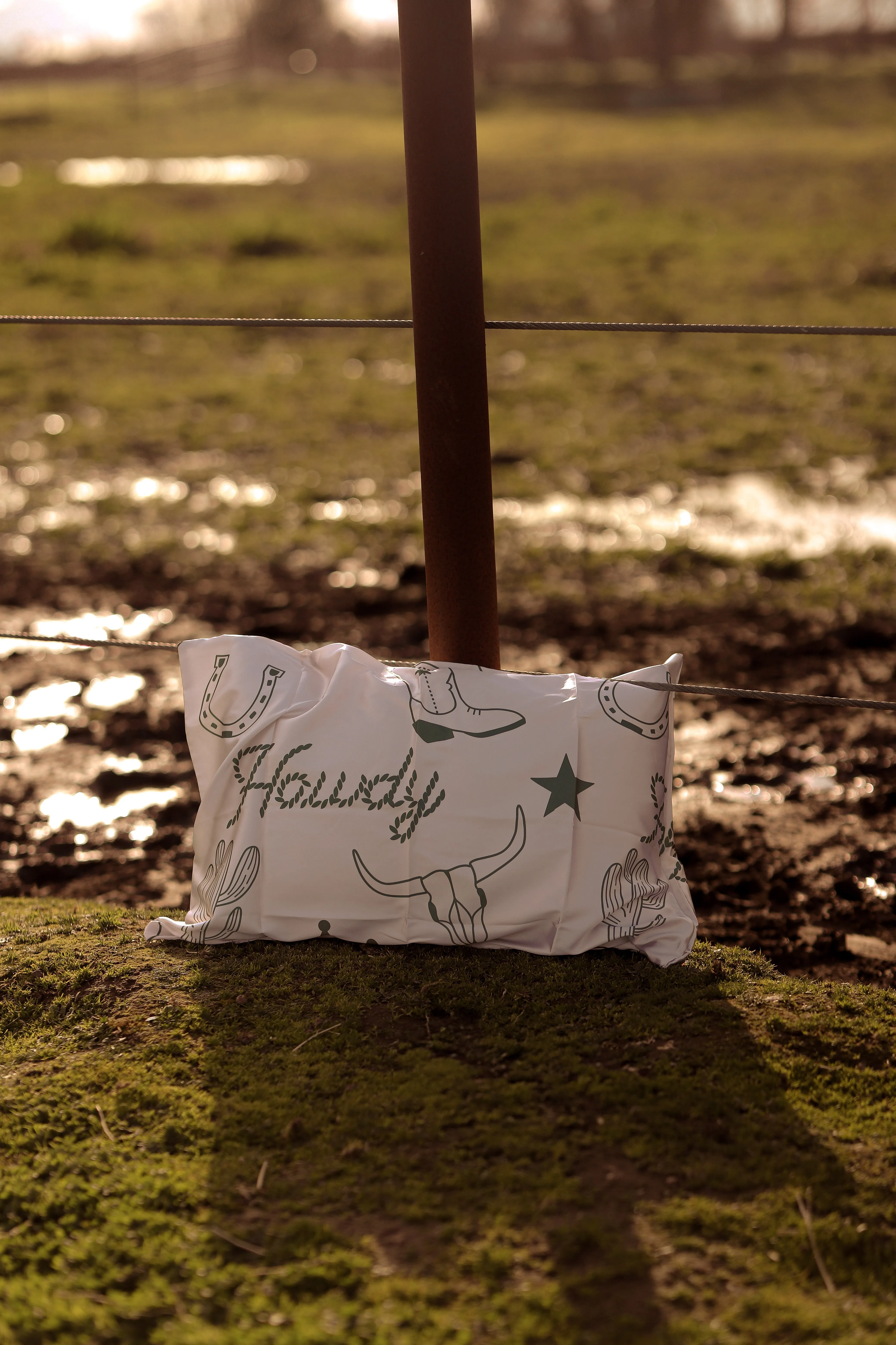 Howdy Satin Pillow Case