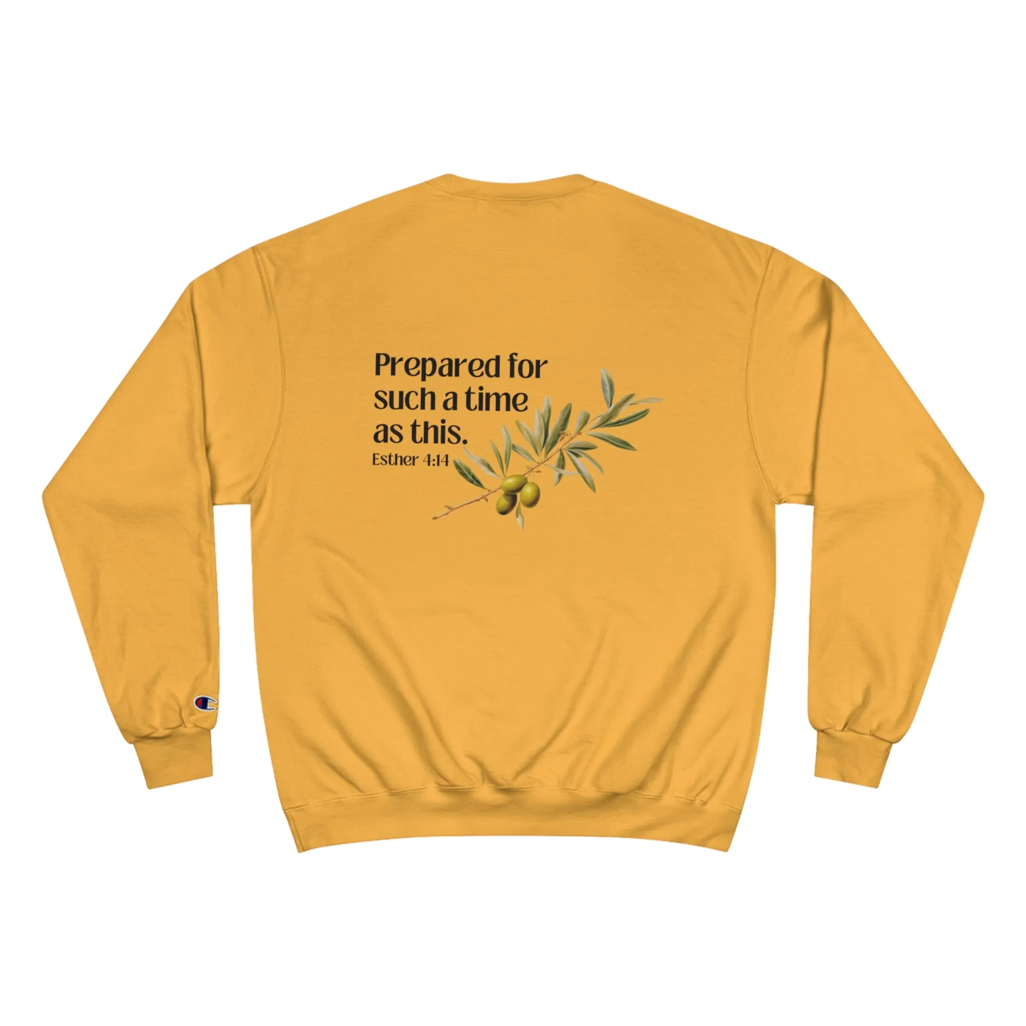 In my Esther era / hand drawn shirt / Bible gift / shirt /  Champion Sweatshirt