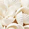 Large Fiji Seashell Ornament