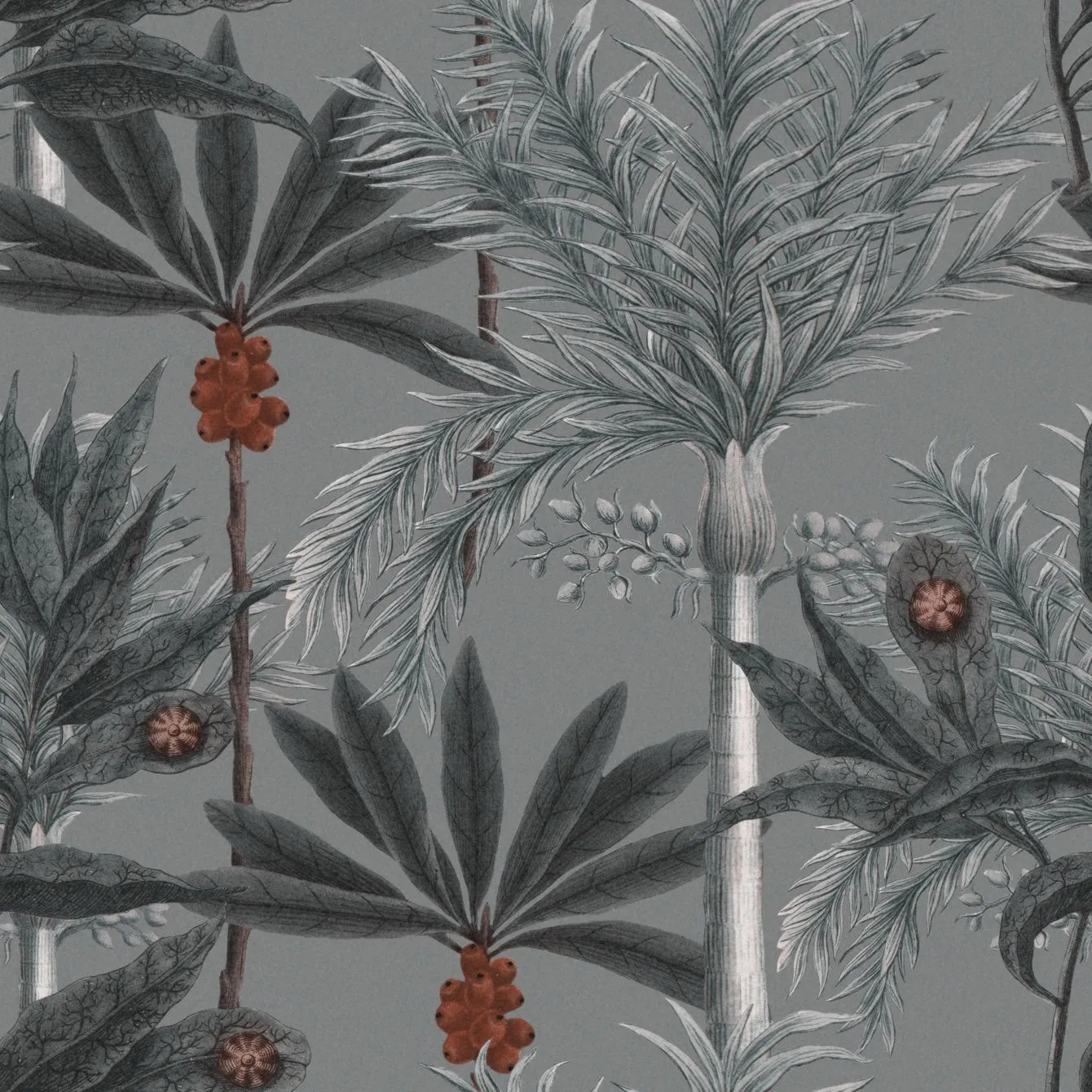 MADAGASCAR Grey Wallpaper