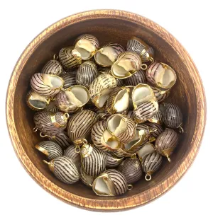 Mother Of Pearl Seashell Beads, Sku#M658