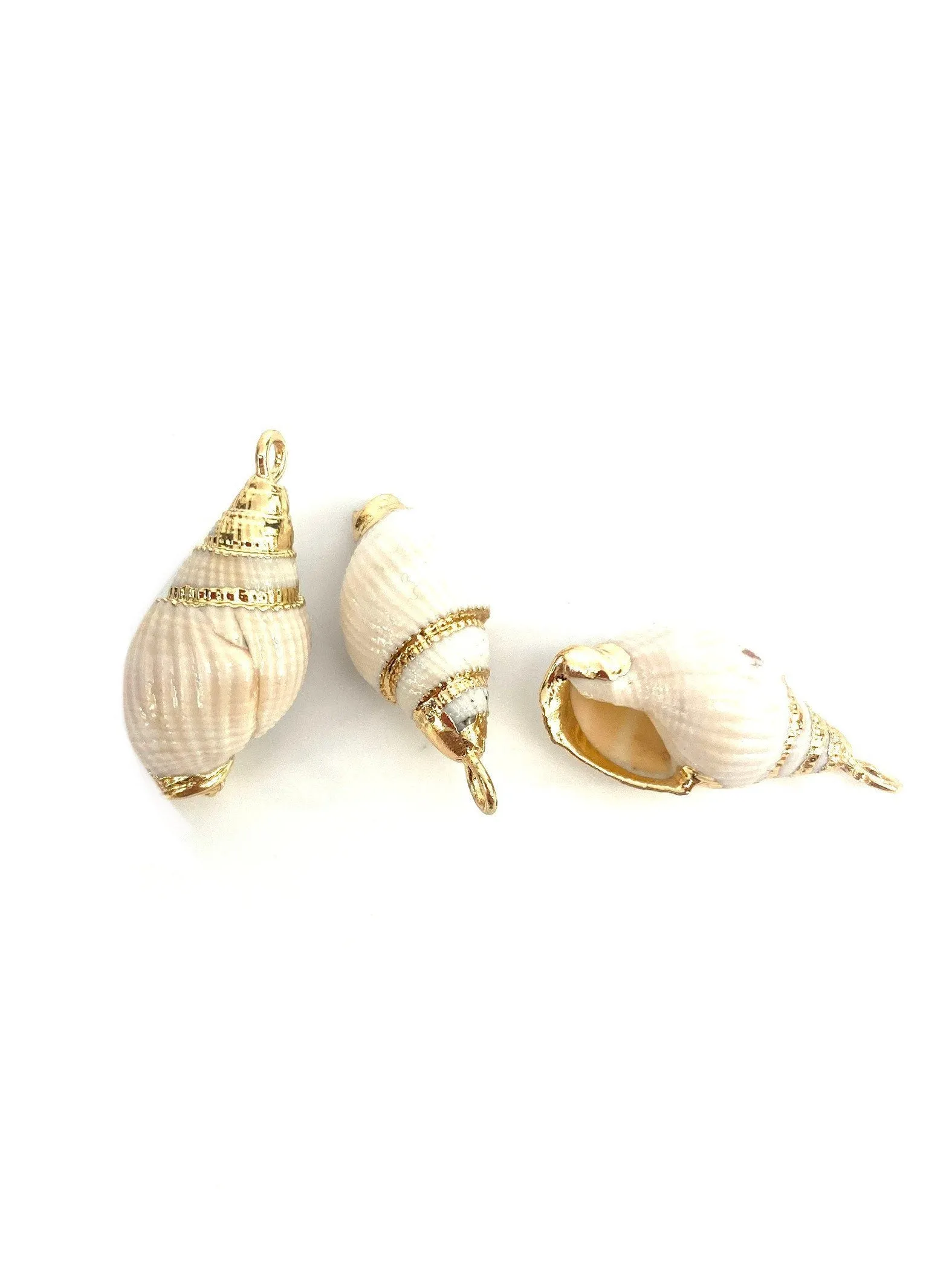 Mother Of Pearl Seashell, Sku#M641