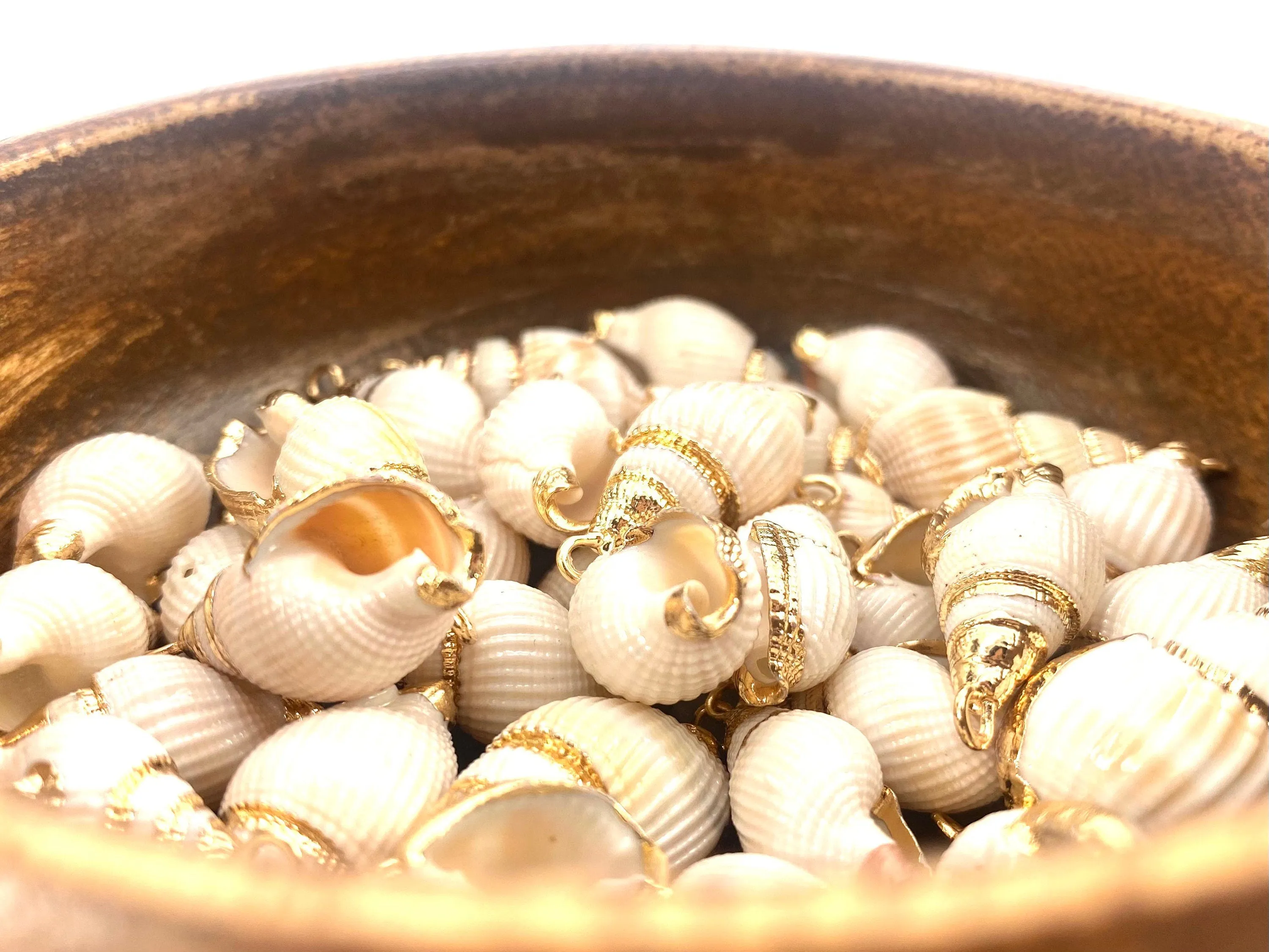 Mother Of Pearl Seashell, Sku#M641