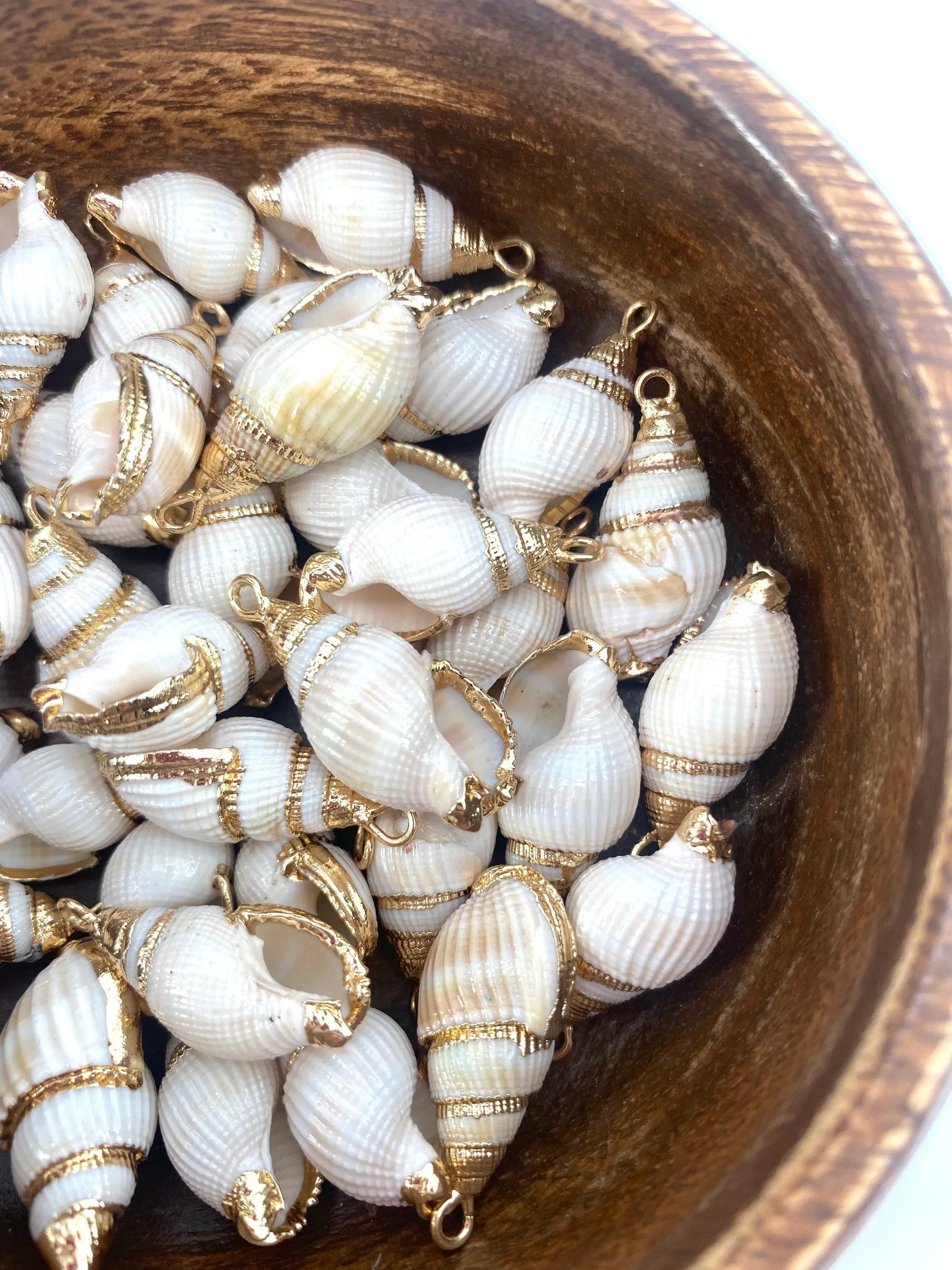 Mother Of Pearl Seashell, Sku#M641