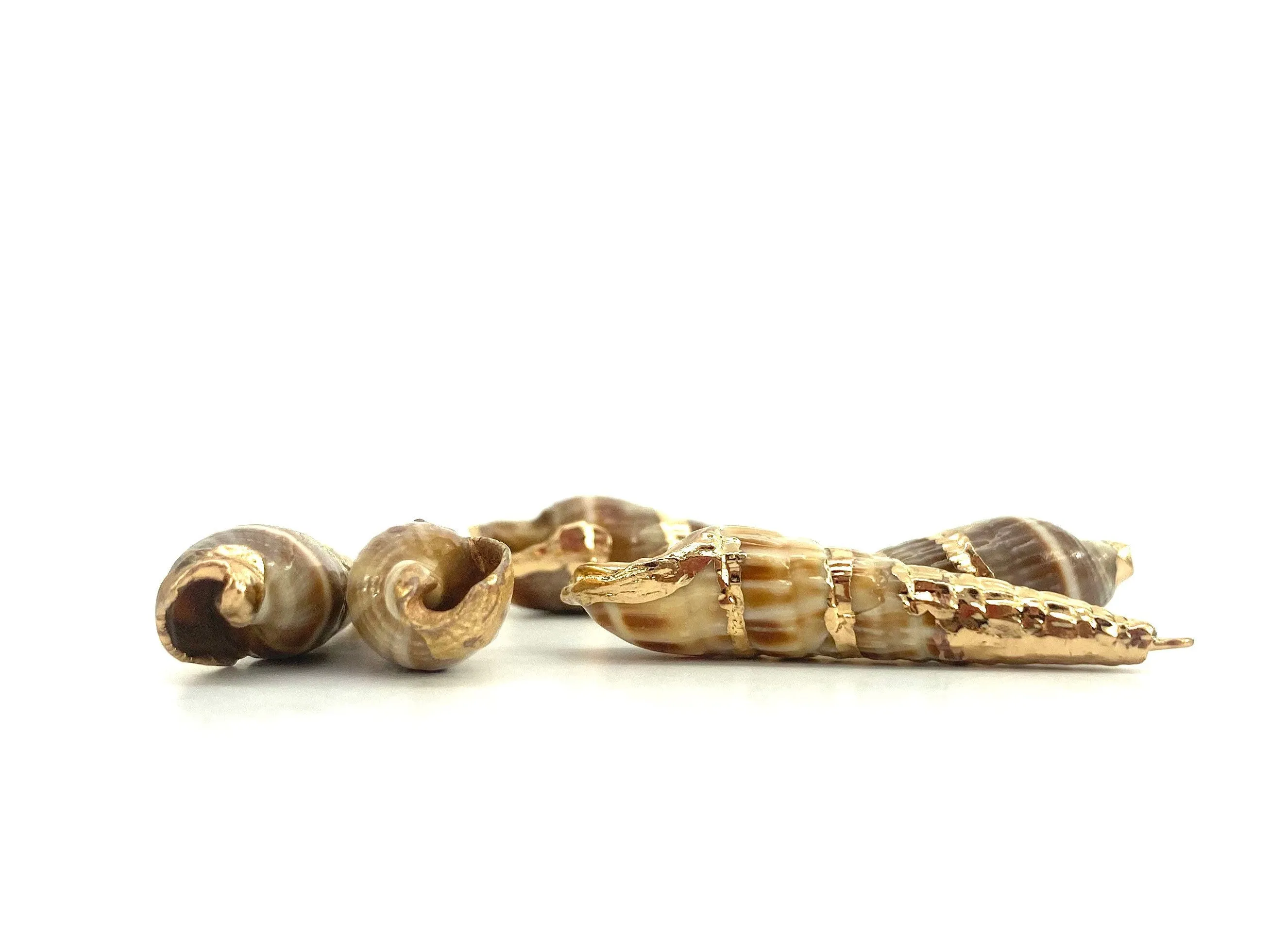 Mother Of Pearl Shell Beads, Sku#M653