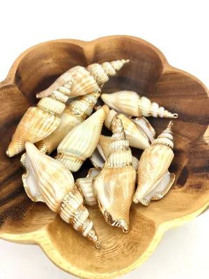 Mother Of Pearl Shell Sku#M650