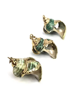 Mother Of Pearl Shell Sku#M666