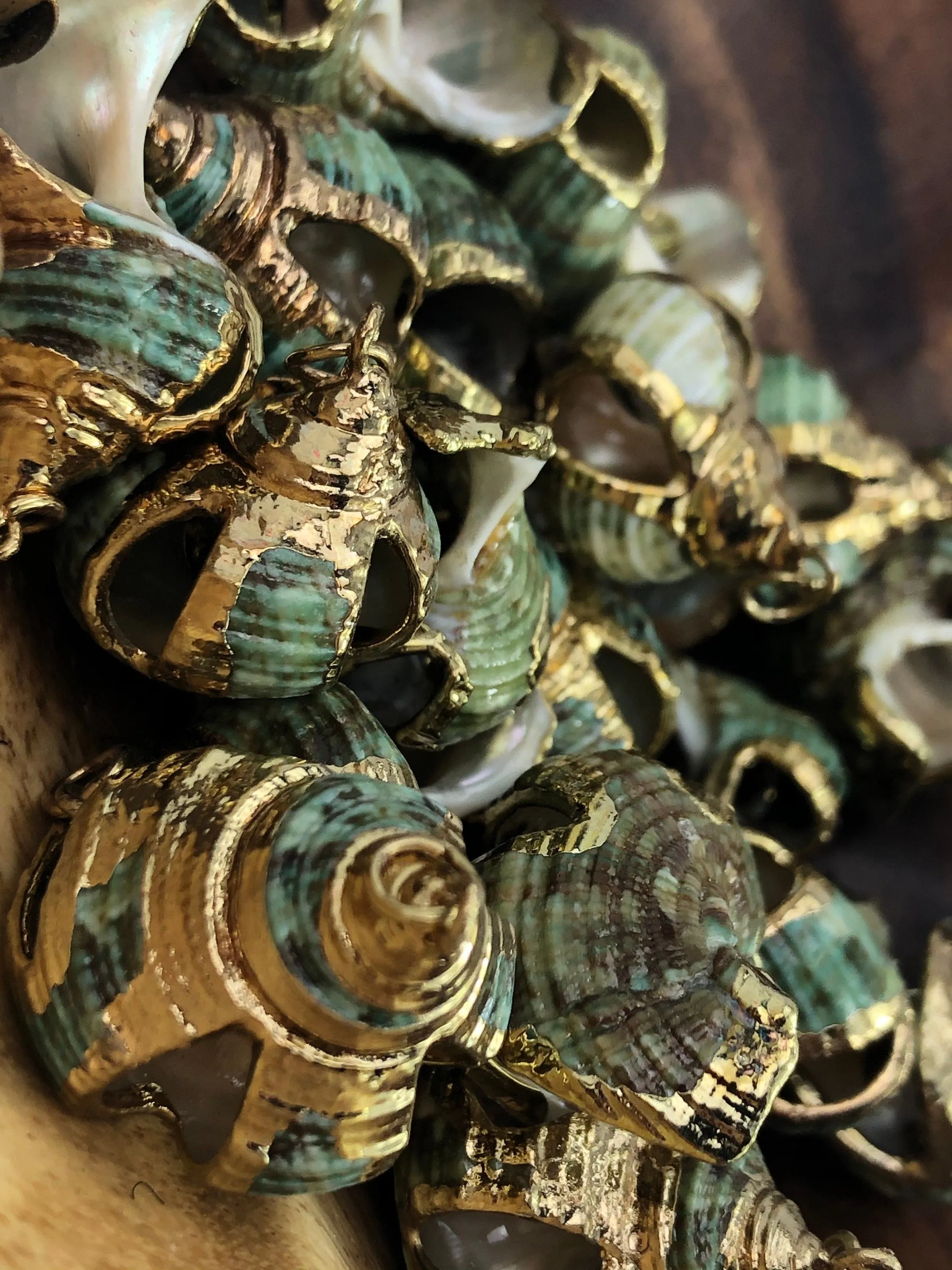Mother Of Pearl Shell Sku#M666