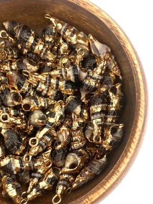 Mother Of Pearl Shells, Sku#M642