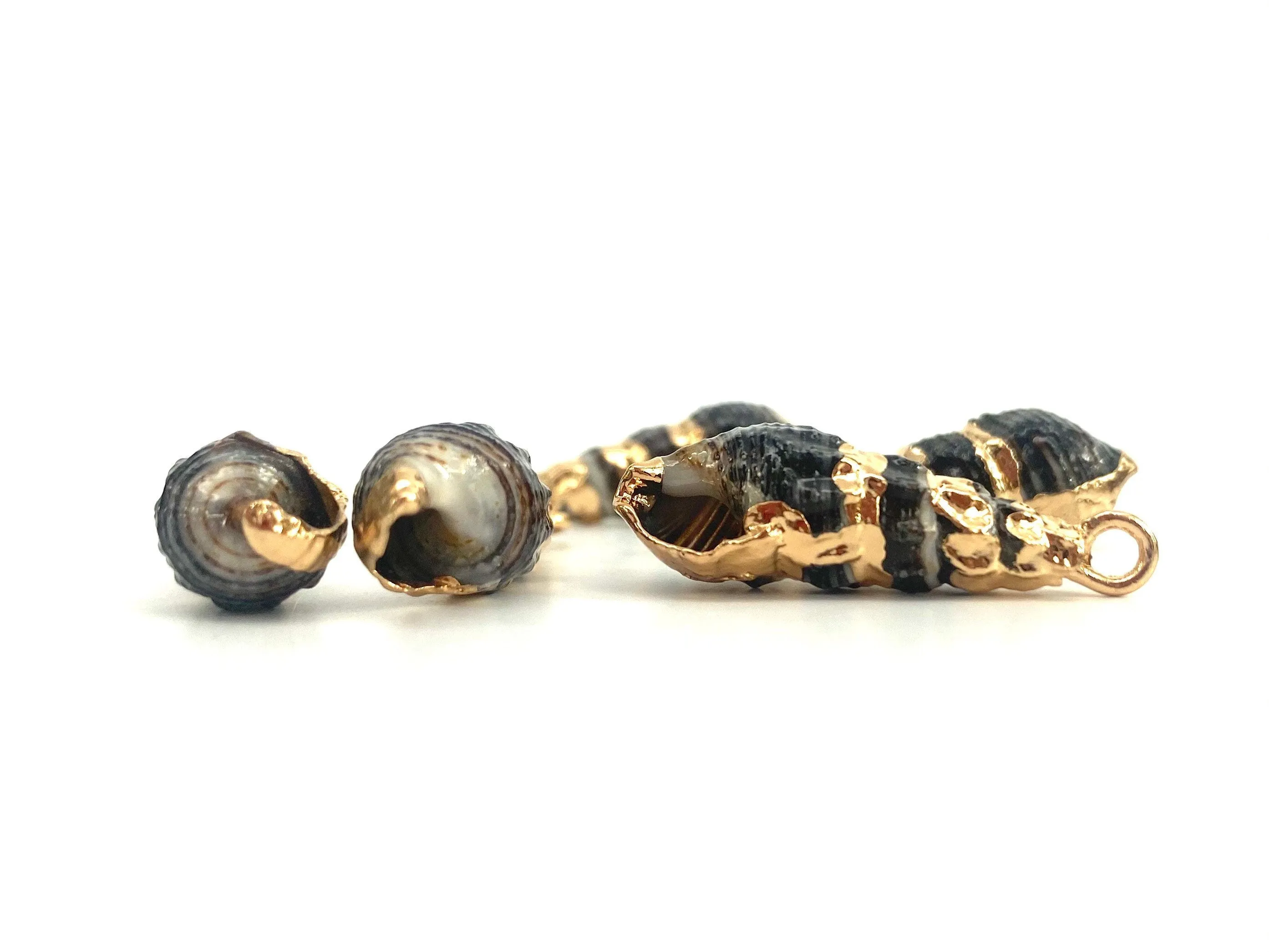 Mother Of Pearl Shells, Sku#M642