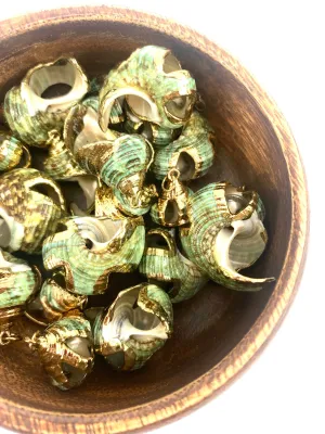 Mother Of Pearl Shells, Sku#M666