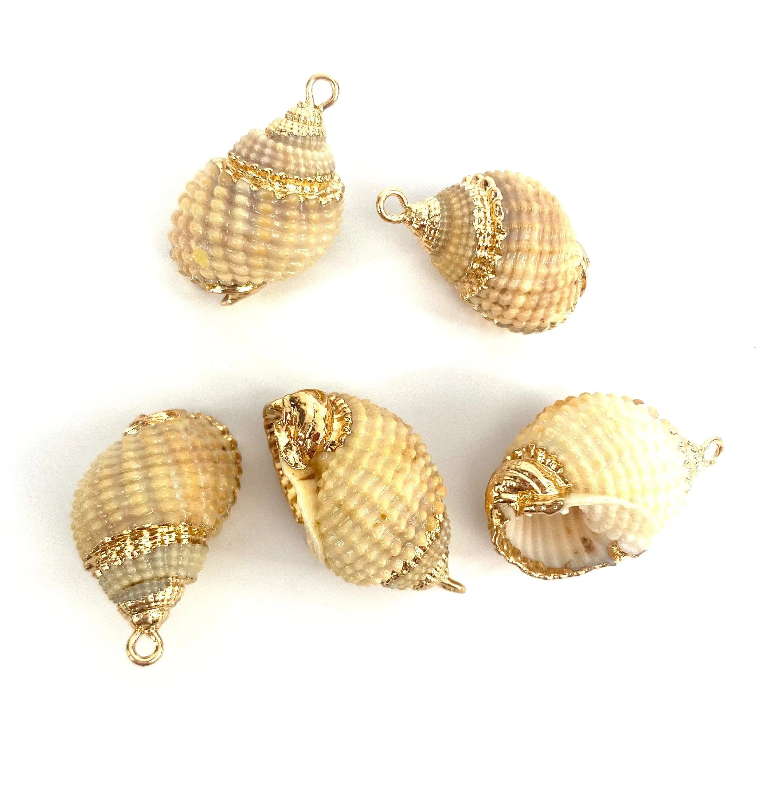 Mother Of Pearl Shells, Sku#M669
