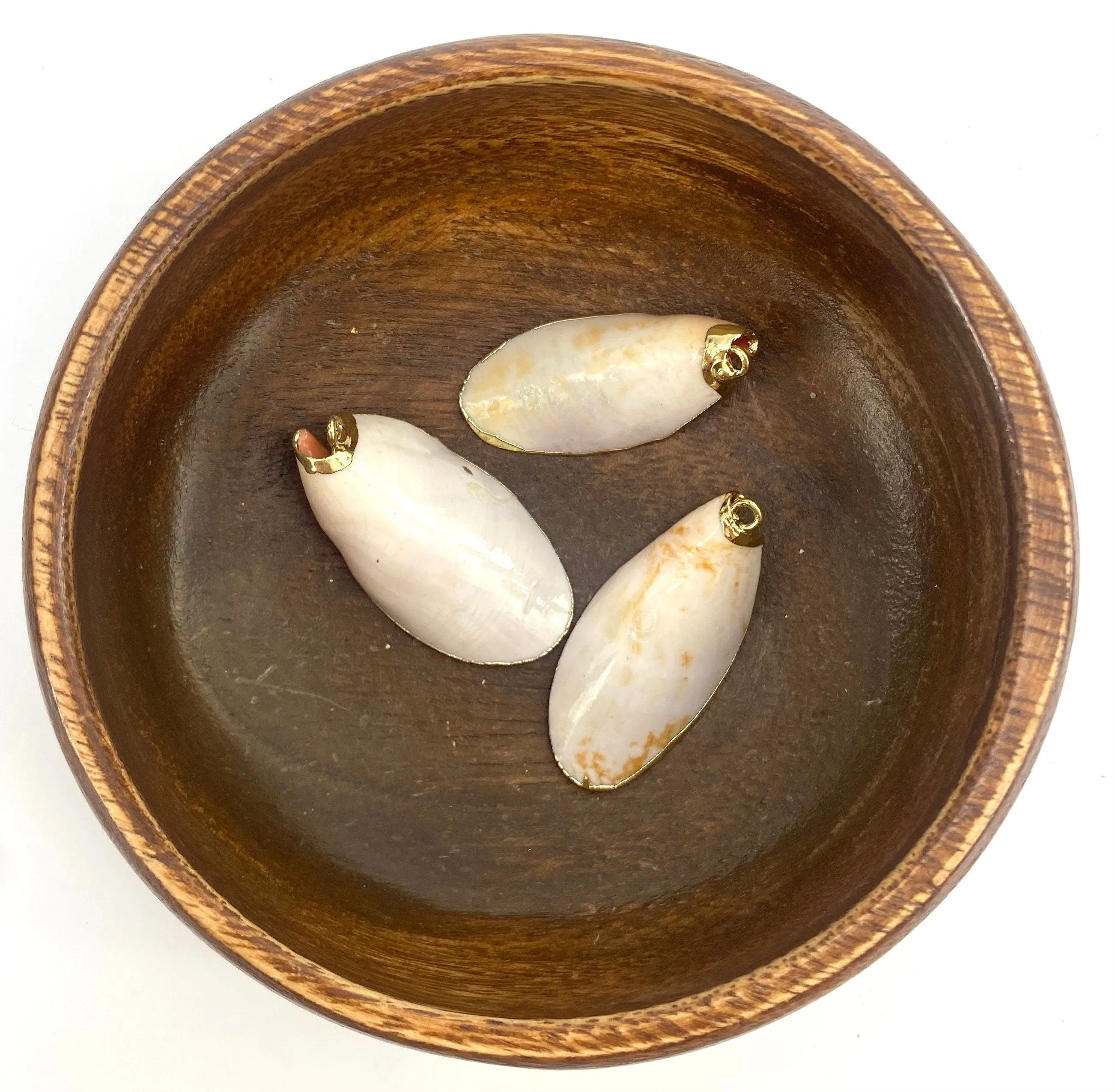 Mother Of Pearl Shells with Alloy, Sku#M667