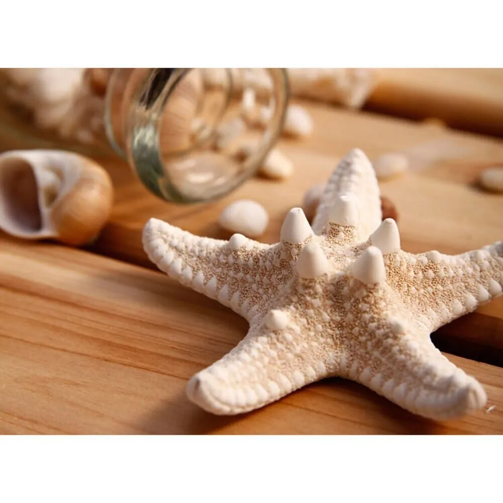 Natural Starfish 2 PC Alligator Hairclip Set, Tropical Wedding Starfish Hairpiece, Hawaii Seashell Star Hairclips, Mermaid Cosplay Headpiece