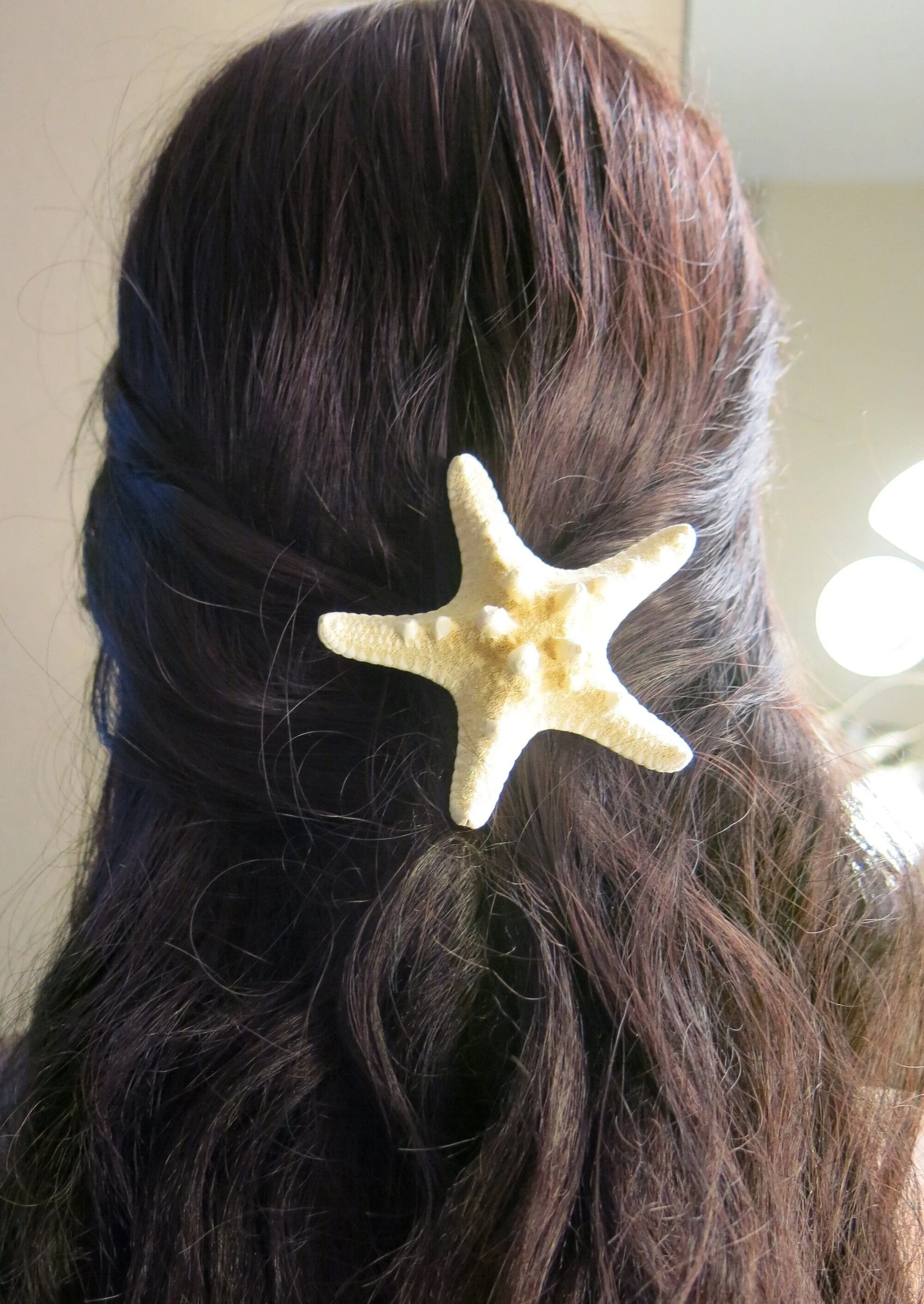 Natural Starfish 2 PC Alligator Hairclip Set, Tropical Wedding Starfish Hairpiece, Hawaii Seashell Star Hairclips, Mermaid Cosplay Headpiece
