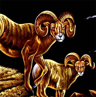 On the Top of the World - Black Velvet Painting