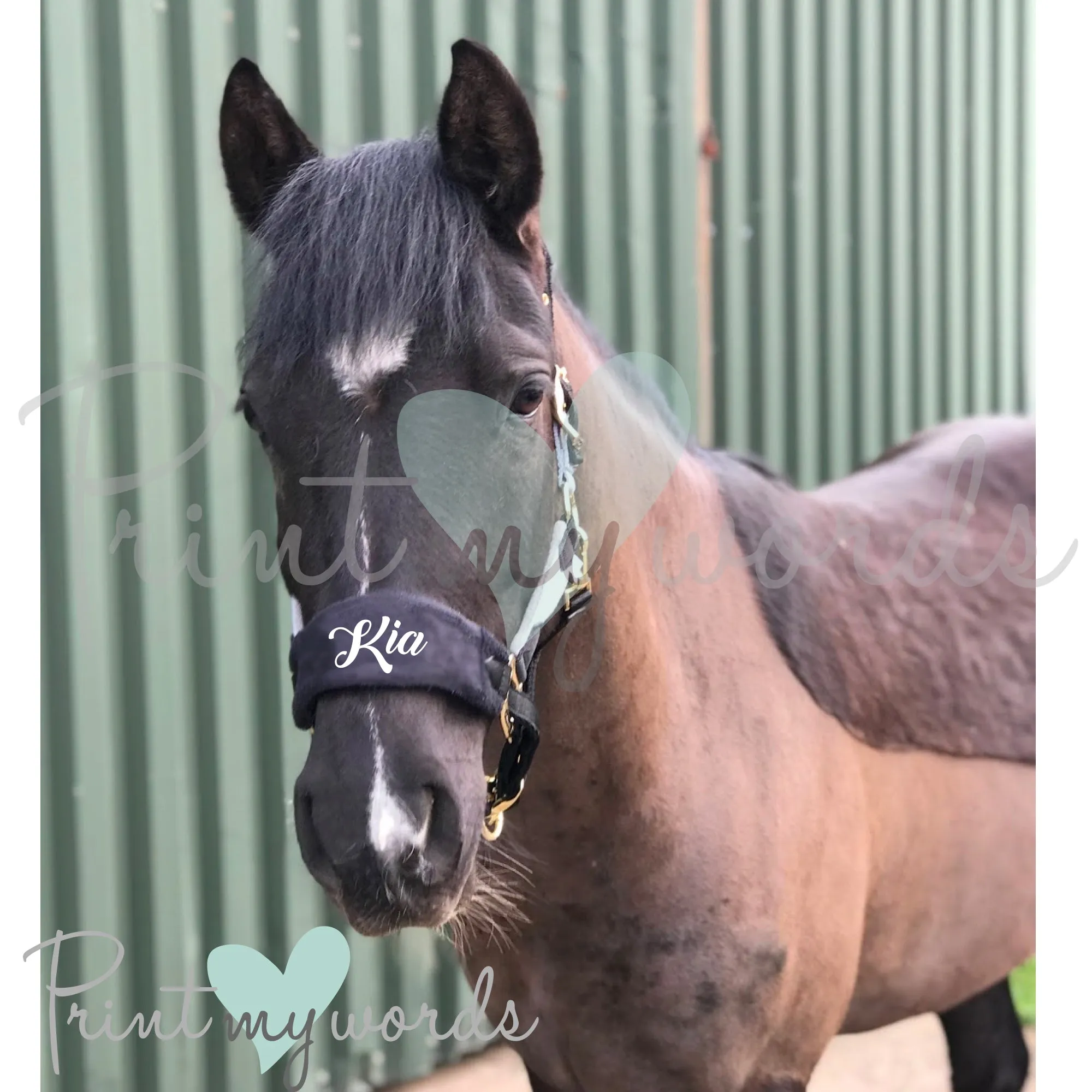 Personalised Anatomical Headcollar And Leadrope Set - Elegant Design