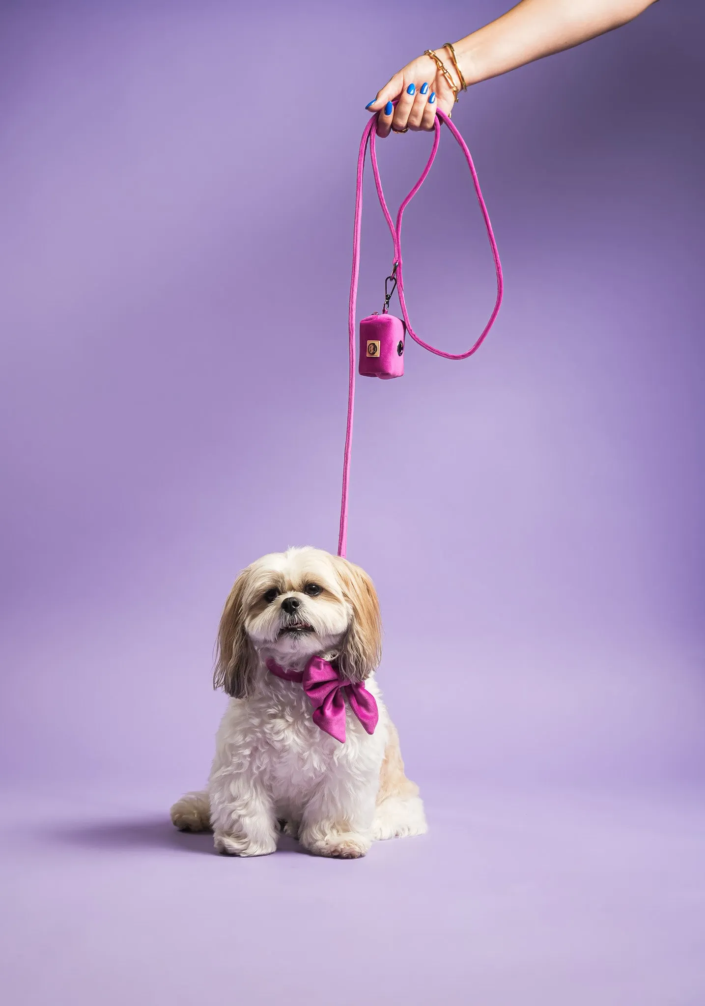 Plum Velvet - Dog Leash