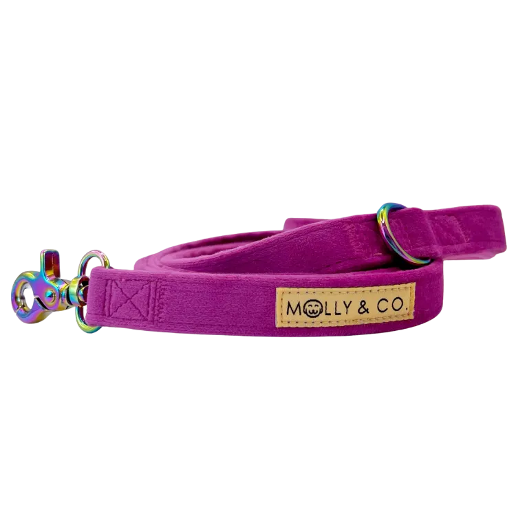 Plum Velvet - Dog Leash