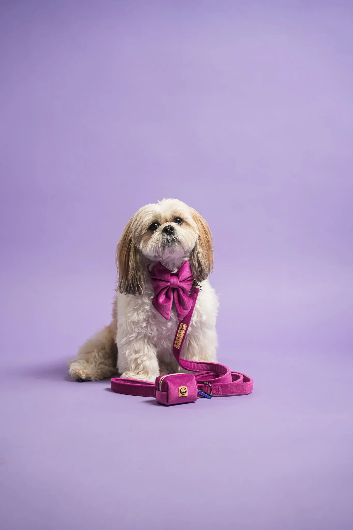 Plum Velvet - Dog Leash