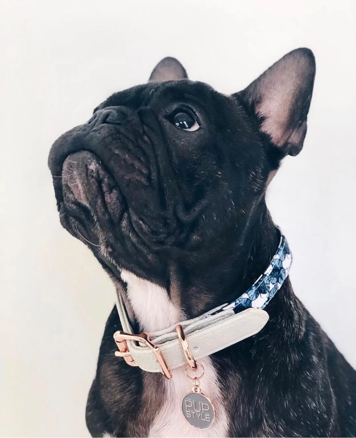 "Palm Vibes" City Collar