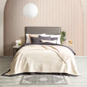 Renee Taylor Heston 480 GSM Ultra Soft Velvet Sherpa Blanket - STONE