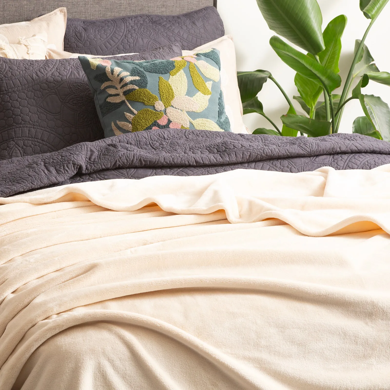 Renee Taylor Plush 380 GSM Ultra Soft Velvet Blanket - STONE