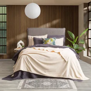 Renee Taylor Plush 380 GSM Ultra Soft Velvet Blanket - STONE