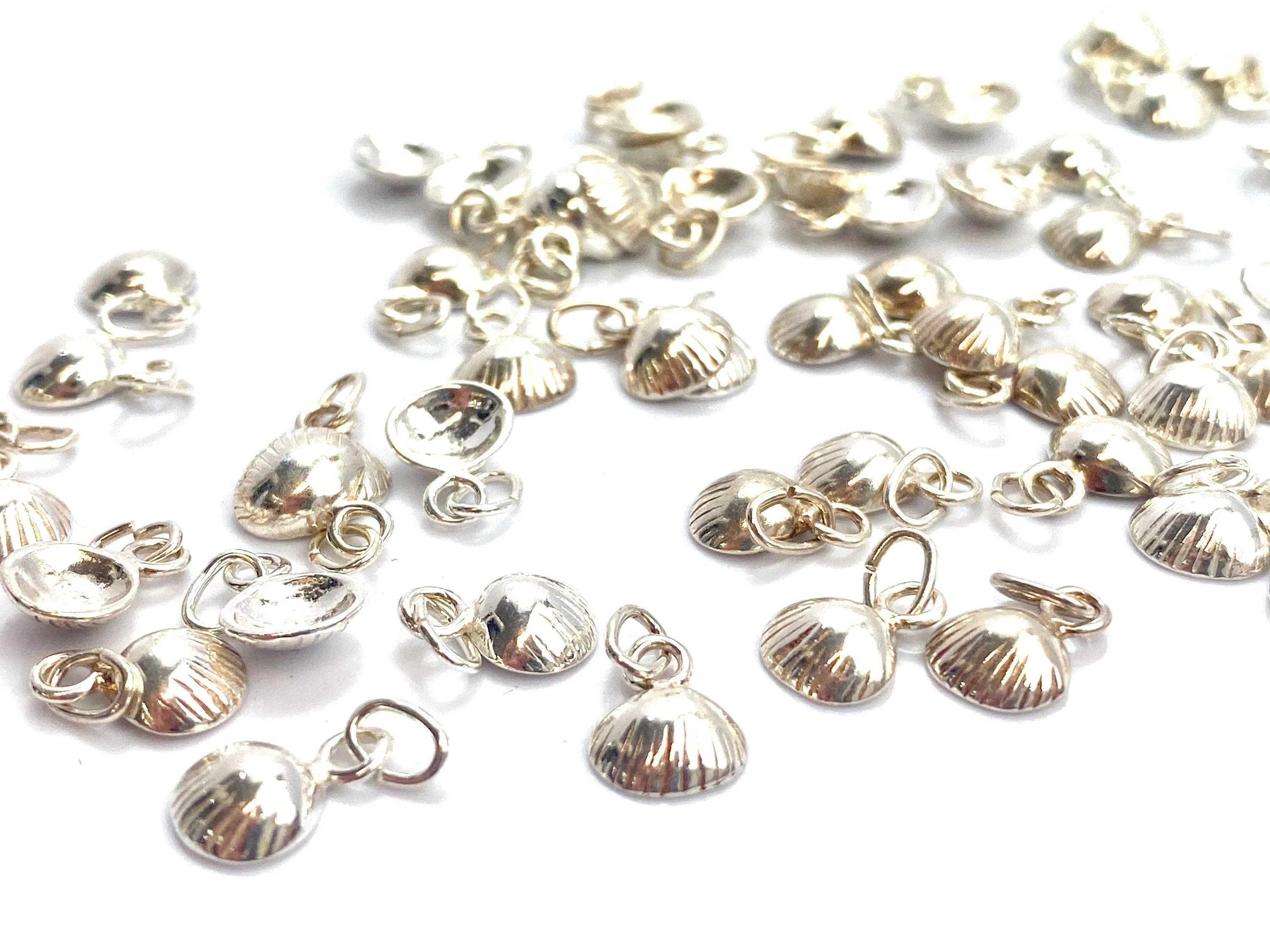 Seashell , Sku#SSCR5SS