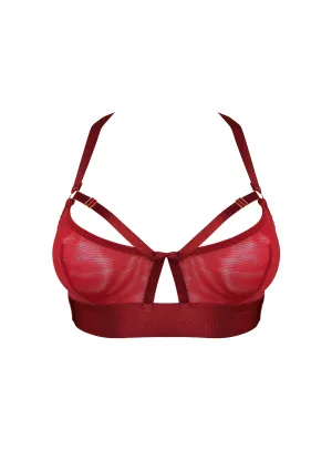Signature Soft Cup Bra