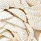 St. Barts Seashell Ornament