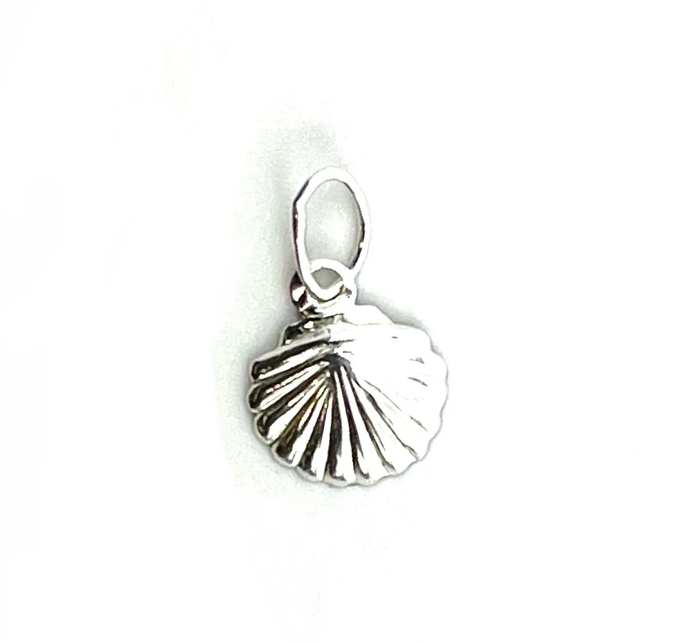 Sterling Silver Seashell Charm, Sku#1095 C