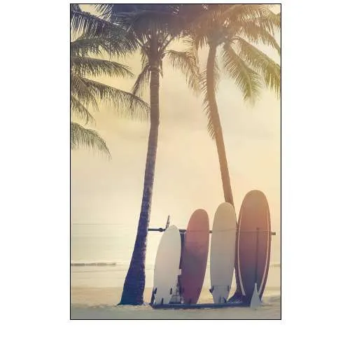 Surfing Summer