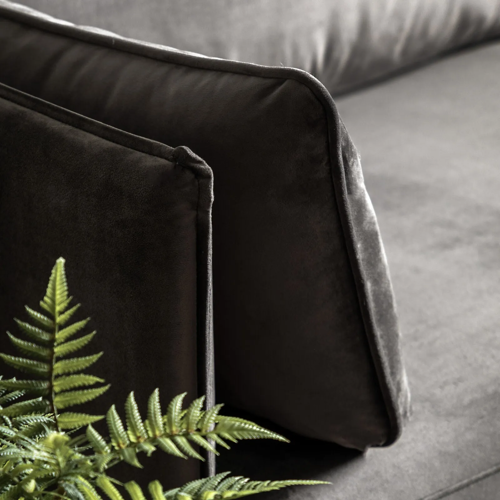 TEDDY 3 seater Truffle Velvet Sofa